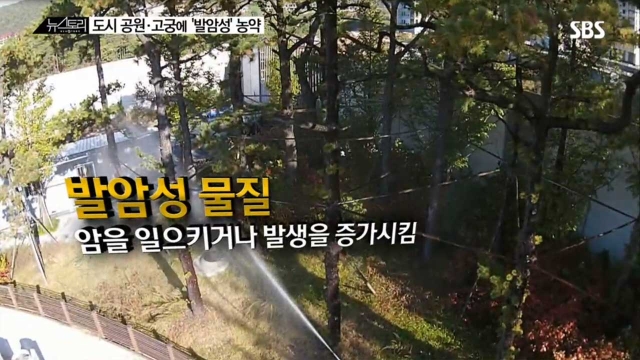 13회 도시 공원·고궁에 발암성 농약 썸네일
