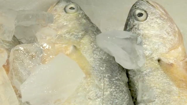 2,185회 SBS 생활 경제 썸네일