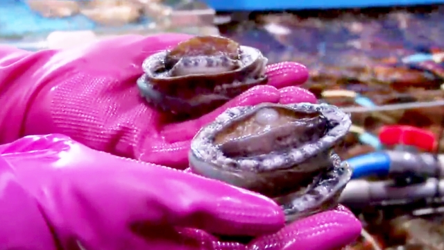 2,213회 SBS 생활 경제 썸네일