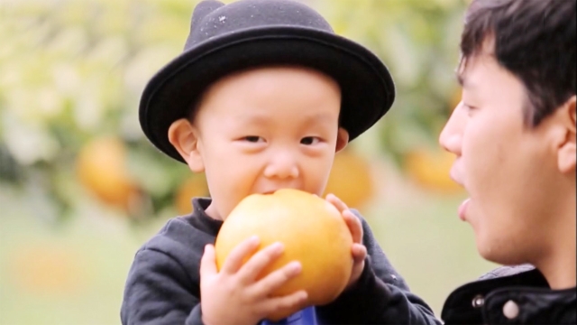 87회 과수원에 놀러 온 주안이네 썸네일