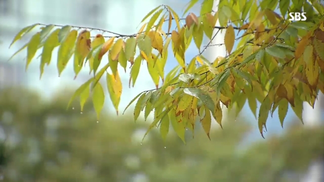 6,184회 모닝와이드 6184회 2부 썸네일
