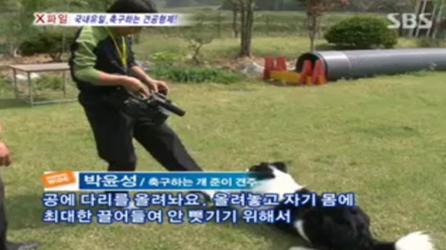 3,209회 Are You Ready? 썸네일