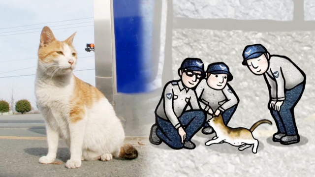 760회 경찰서 마스코트! [몰랑이] 가족들 썸네일