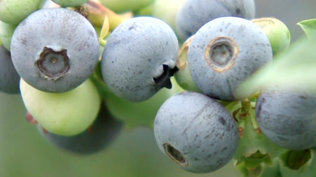 815회 전주 썸네일
