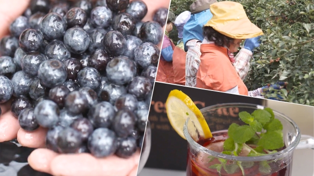 6,636회 모닝와이드 3부 썸네일