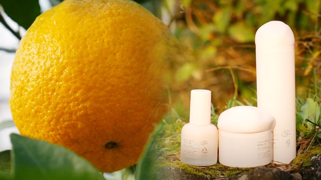 00854회 제주 썸네일