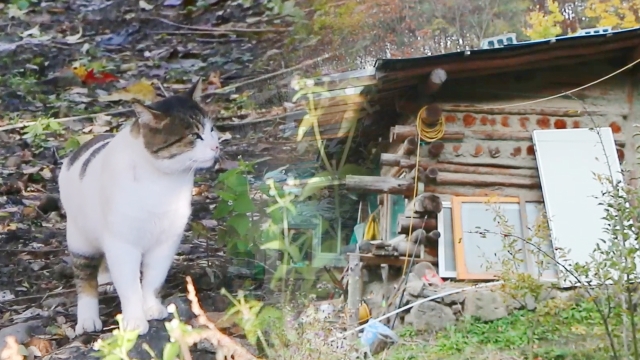 2,207회 인생사 한 치 앞을 몰라서, 거문동골 썸네일