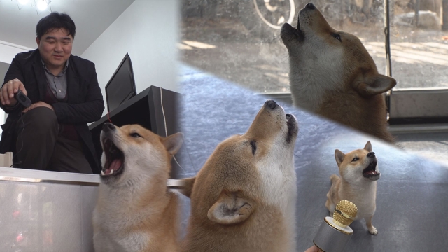 1,028회 촉촉한 감성! 폭발적 고음! 윤종신 “좋니” 부르는 개 썸네일