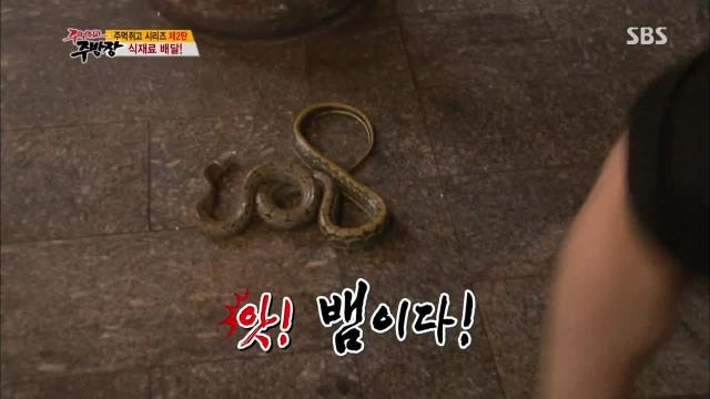 빅토리아, 뱀 등장에 혼비백산  먹을 수는 있지만 싫다  썸네일