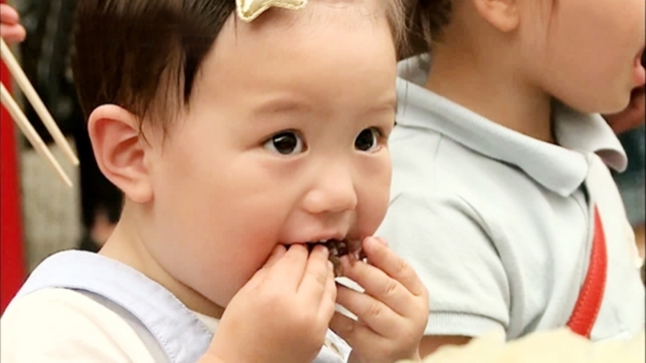 먹태오, 광장시장서 족발 삼매경 '야무진 먹방' (태오,태린네) 썸네일