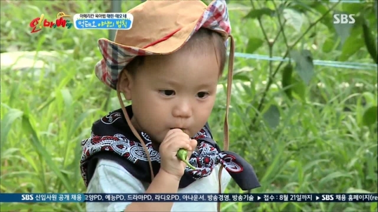 명불허전 먹태오, 매운고추도 한입에 '냠냠' ! (태오,태린네) 썸네일