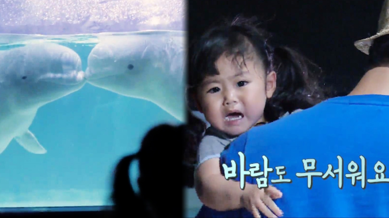 돌고래가 너무 크잖아! 라희 “엉엉 무서워도 궁금해”(라희,라율이네) 썸네일