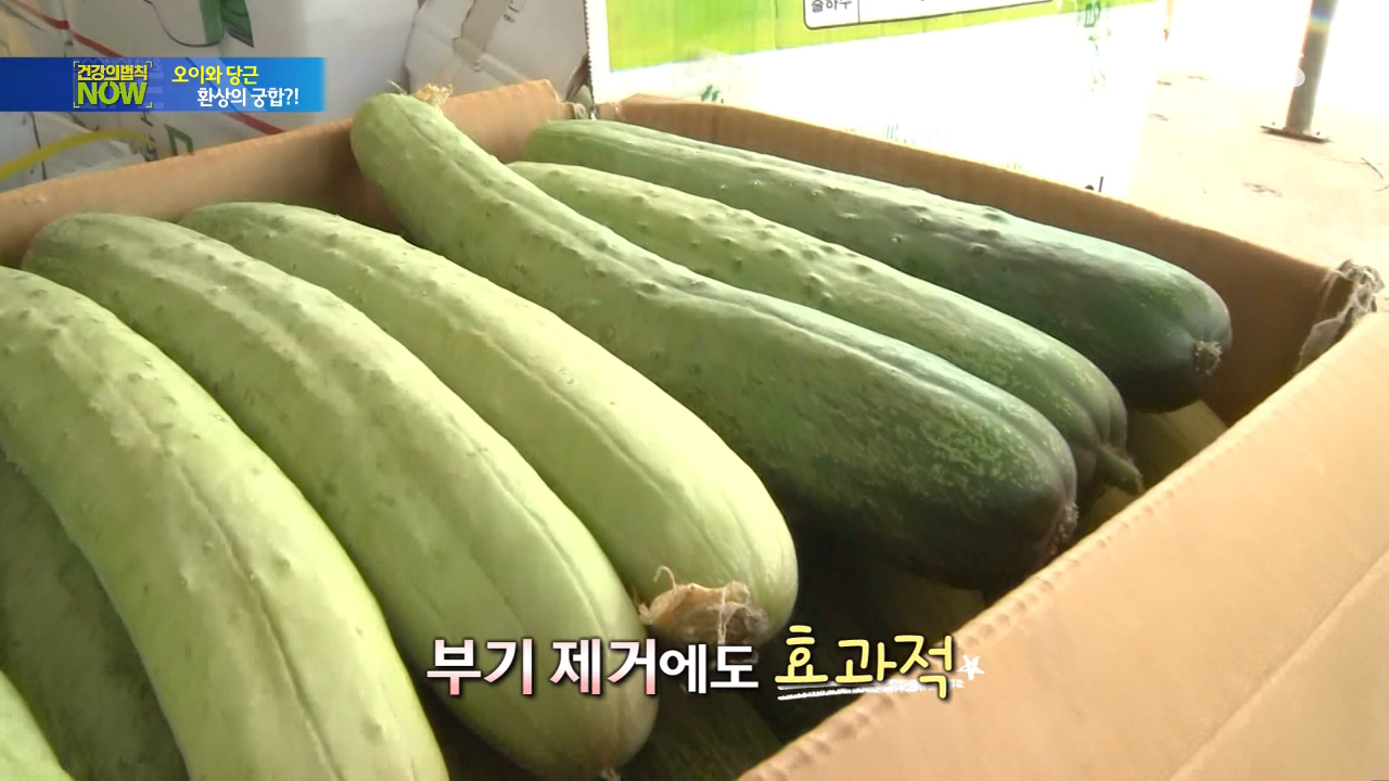 우리몸에 좋은 오이의 놀라운 효능 썸네일