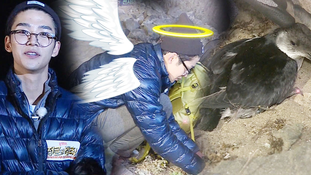 로운, 불쌍한 새끼 제비 보살피며 천사 등극♡ 썸네일