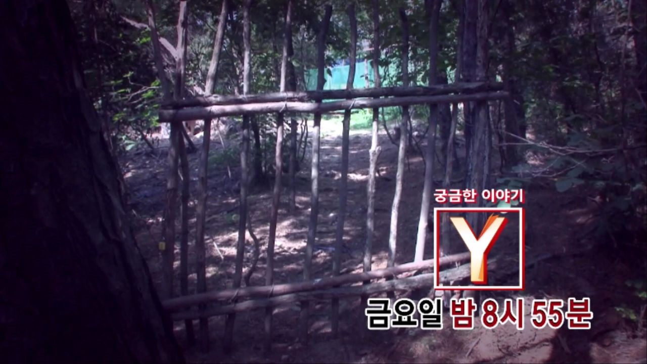 [7월 27일 예고] 산 속에 숨어사는 남매, 그들은 누구인가? 썸네일