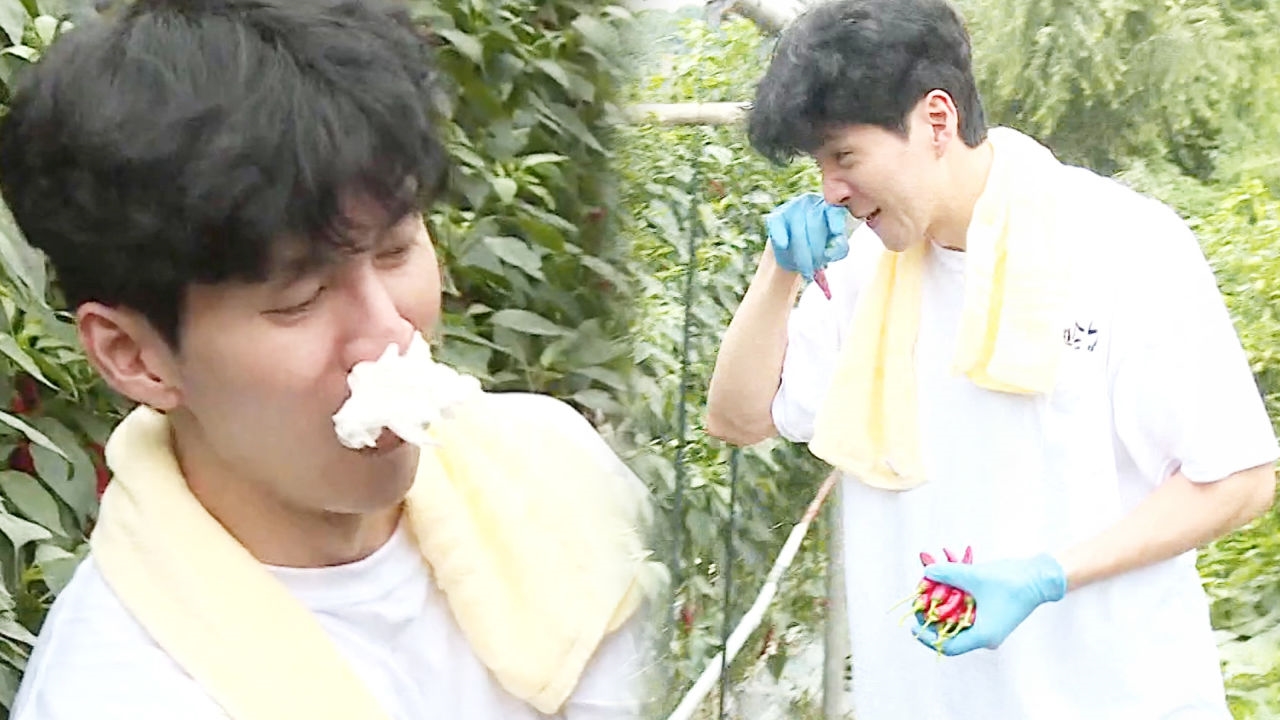 부실 사위 권해성, 고추 알레르기 이겨낸 '즉석 방독면' 썸네일