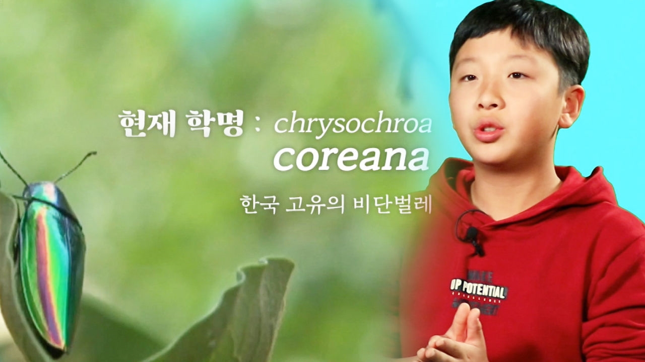 곤충 때문에 일본어 공부까지! 김선협 군의 꿈! 썸네일