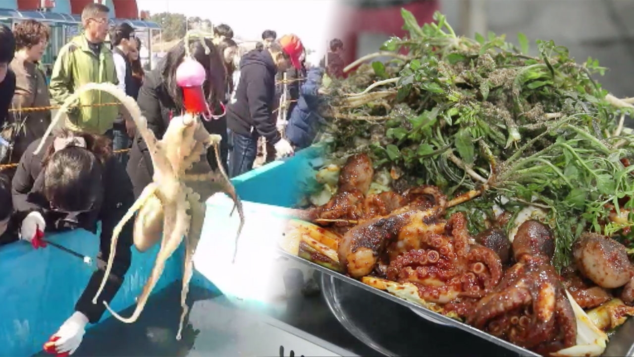 놓치면 후회하는~ 서천 동백꽃 주꾸미 행사! (행사 사냥꾼) 썸네일