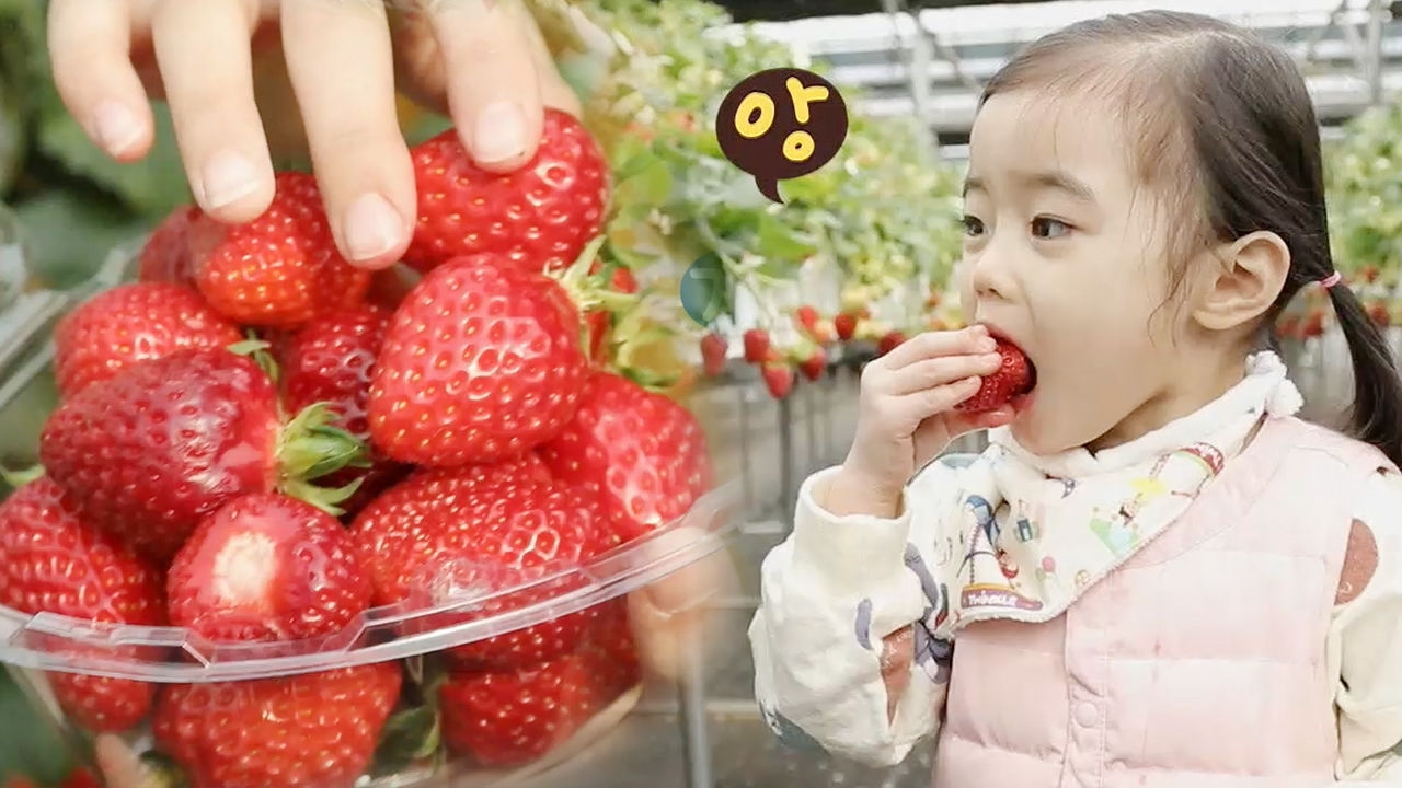 1년 365일 축제 제대로 즐기는 '양평 수미마을' 썸네일