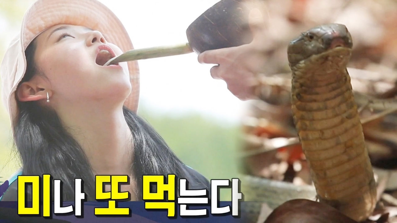 [6월 1일 예고] '코코넛에, 뱀에' 병 주고 약 주는 맹그로브숲 썸네일