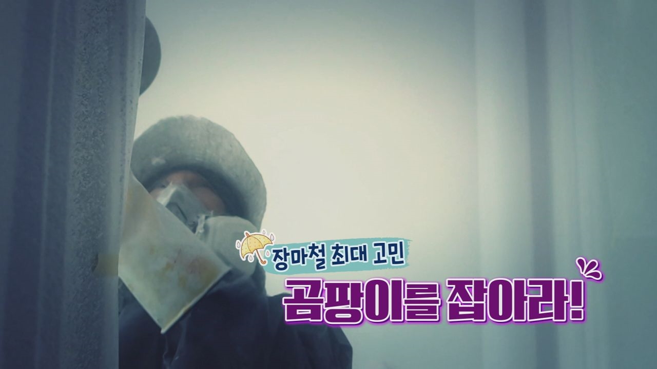장마철 최대 고민, 곰팡이를 잡아라! 썸네일