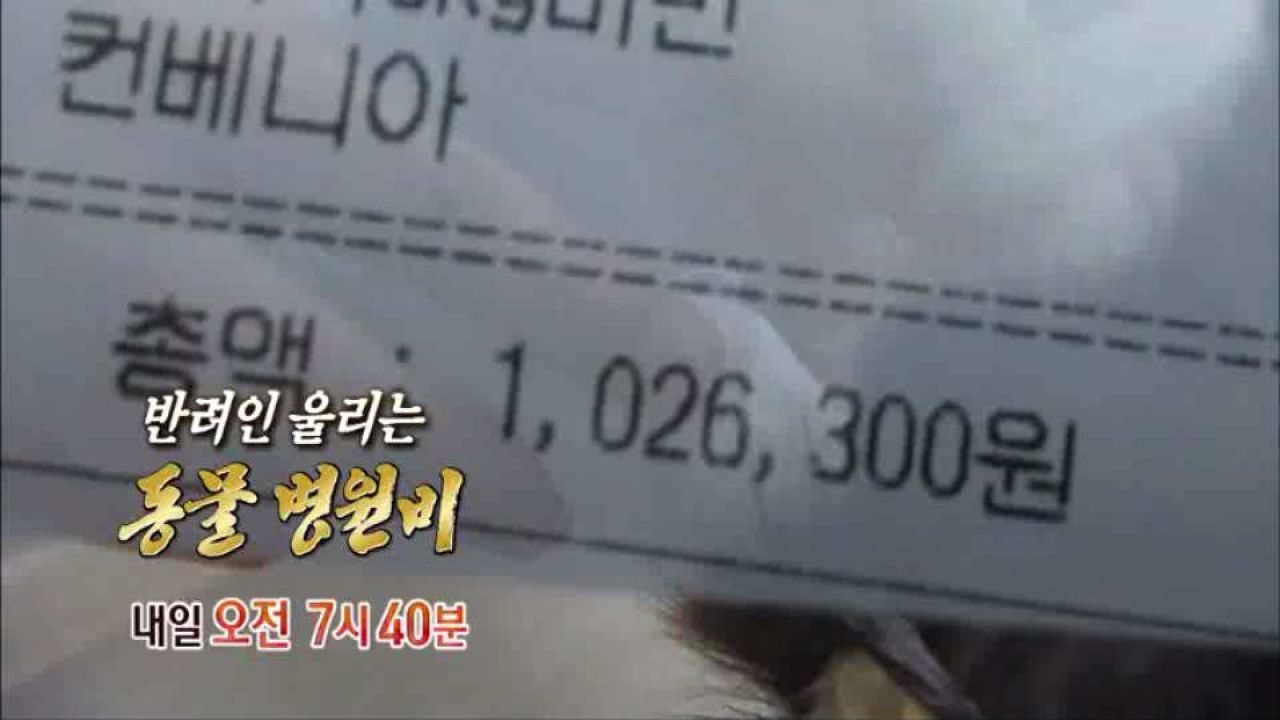 [7월 6일 예고] 반려인 울리는 동물 병원비 썸네일