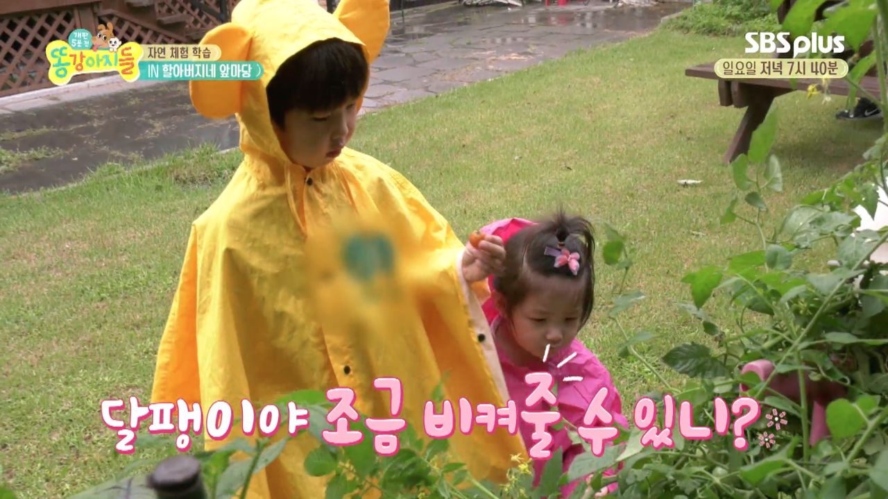 승진네 똥강아지들의 자연 체험 학습 썸네일
