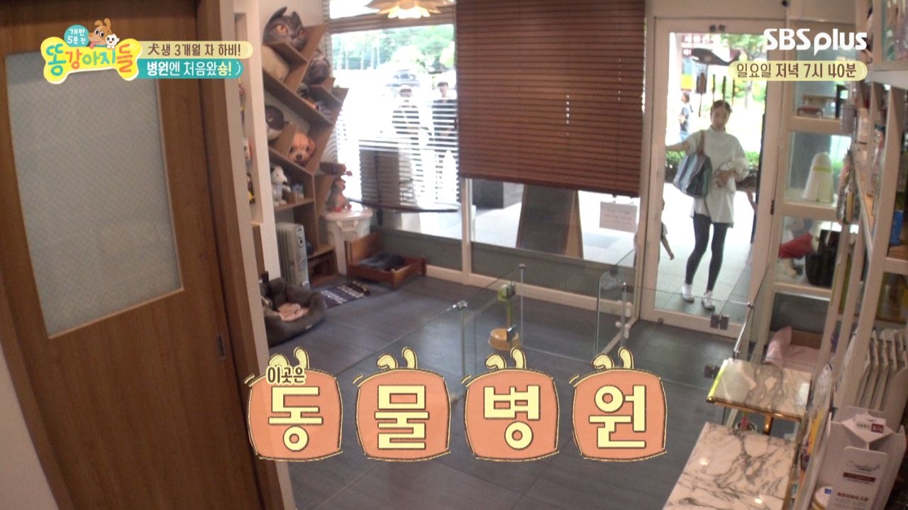 오주은네 동물병원 첫 입성! 과연 무슨일이?! 썸네일