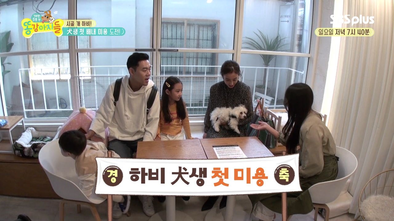 [똥강아지들 9회] 하비의 첫 미용, 과연 희수가 pick한 하비의 스타일은? 썸네일