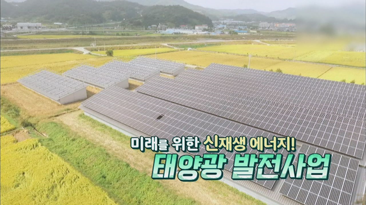 미래를 위한 신재생 에너지! 태양광 발전사업 썸네일