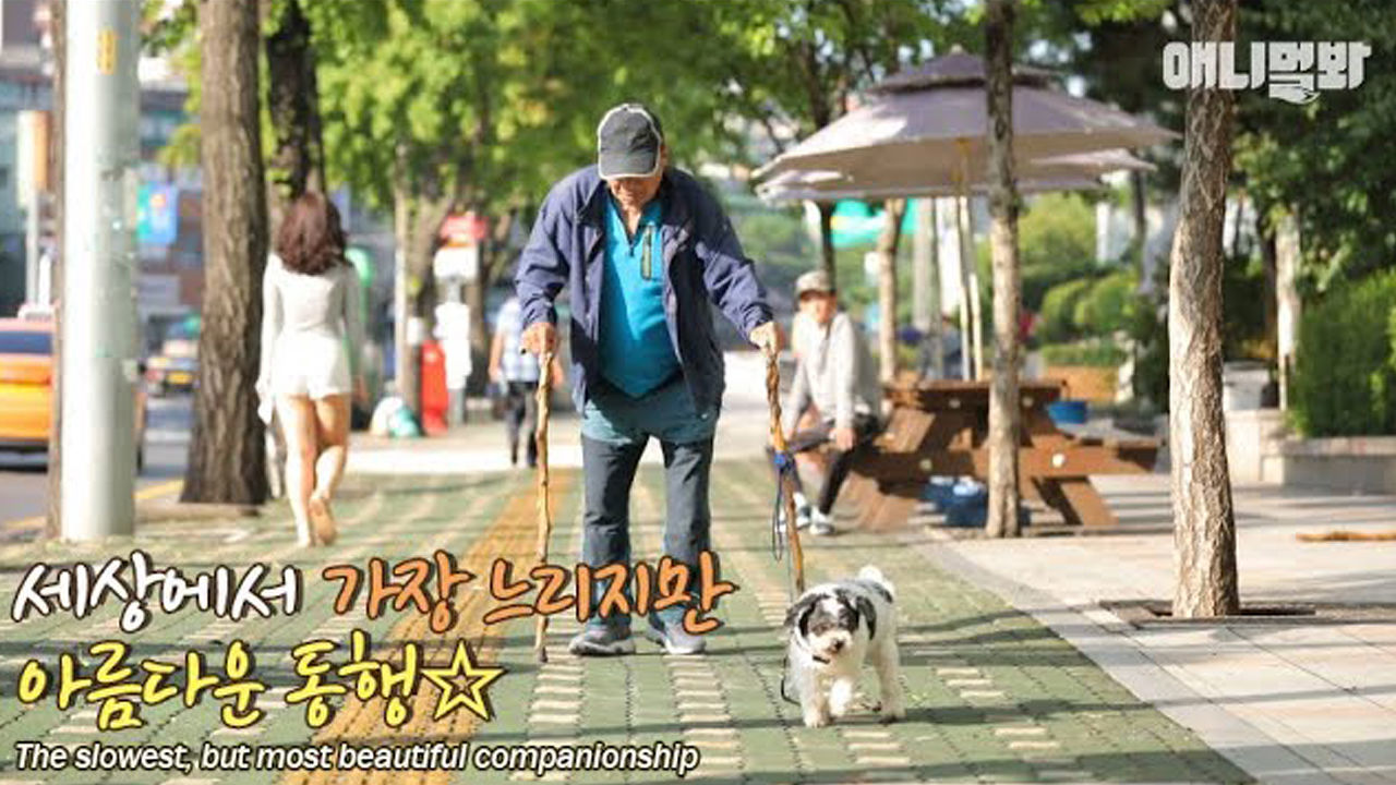 내가 가는 길이 험하고 멀지라도 그대 함께 간다면 좋겠네 썸네일