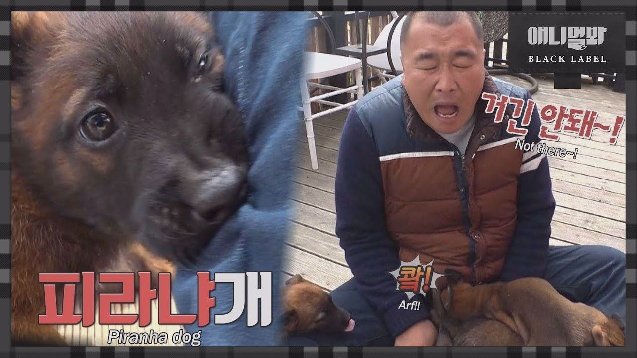 그땐 미처 알지 못했다 썸네일