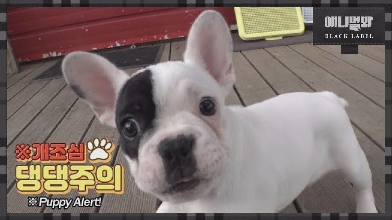 표정이 왜구래? 너도 벌써 월요일인게 안 믿겨져서구래? 썸네일