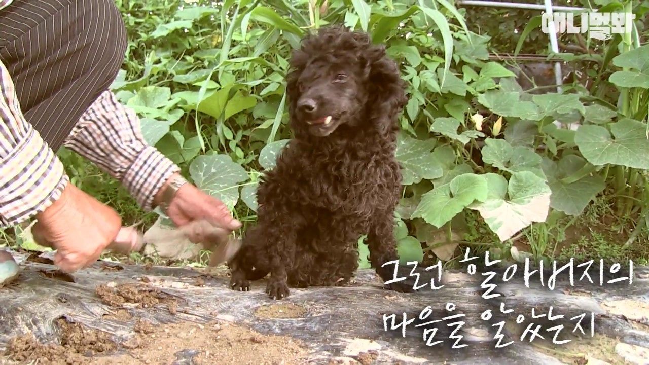 세발견 깜순이와 할아버지의 동화같은 이야기 썸네일
