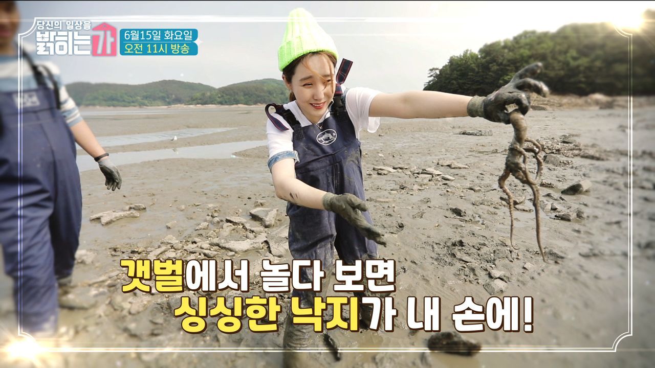 [6/15 예고] 당일치기로 해진이와 함께하는 신시모도 완전정복 썸네일