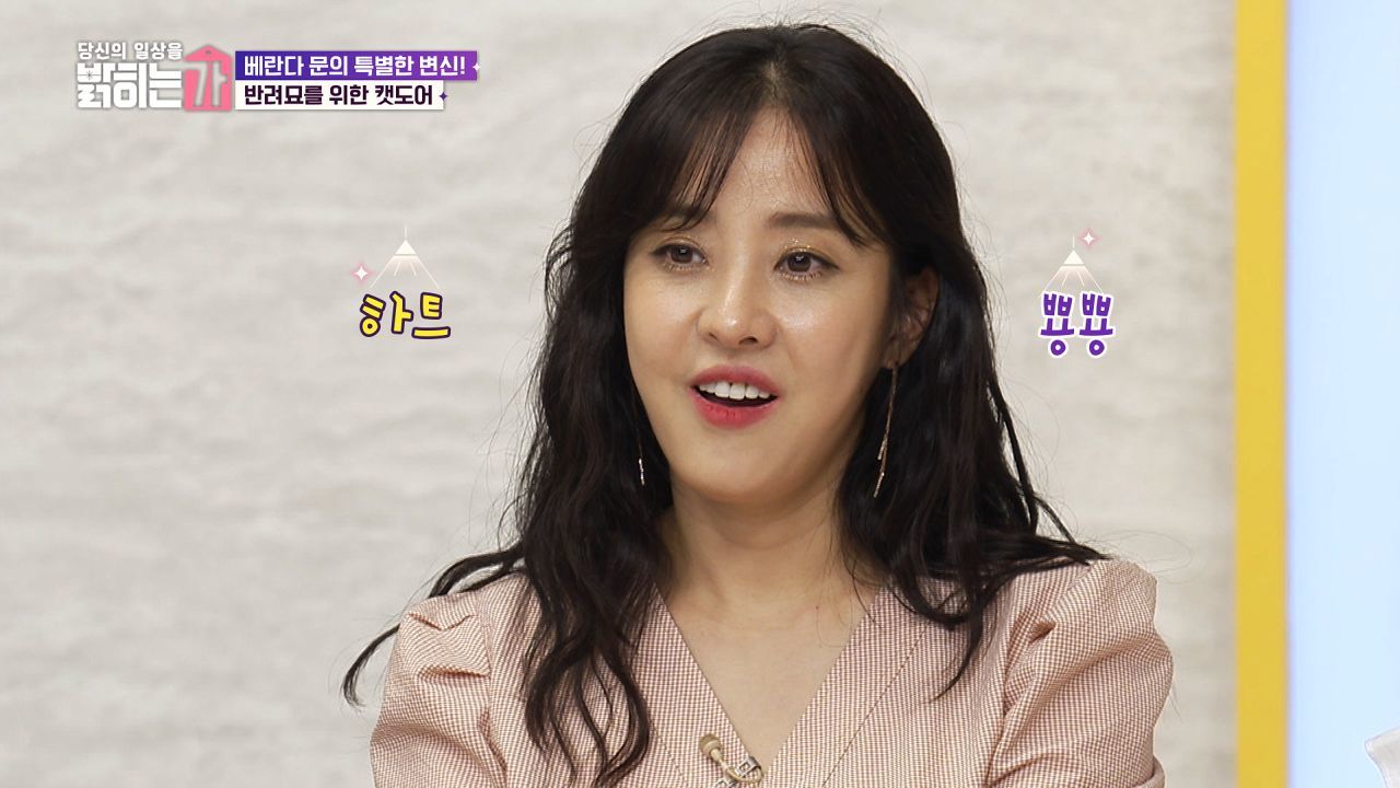 베란다 문의 특별한 변신! 반려묘를 위한 캣도어 썸네일