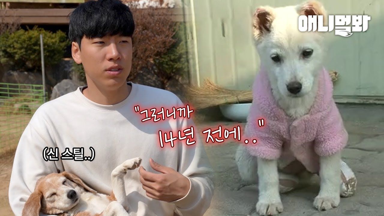 14년 전 한 남자를 만나고 운명이 바뀐 강아지 썸네일