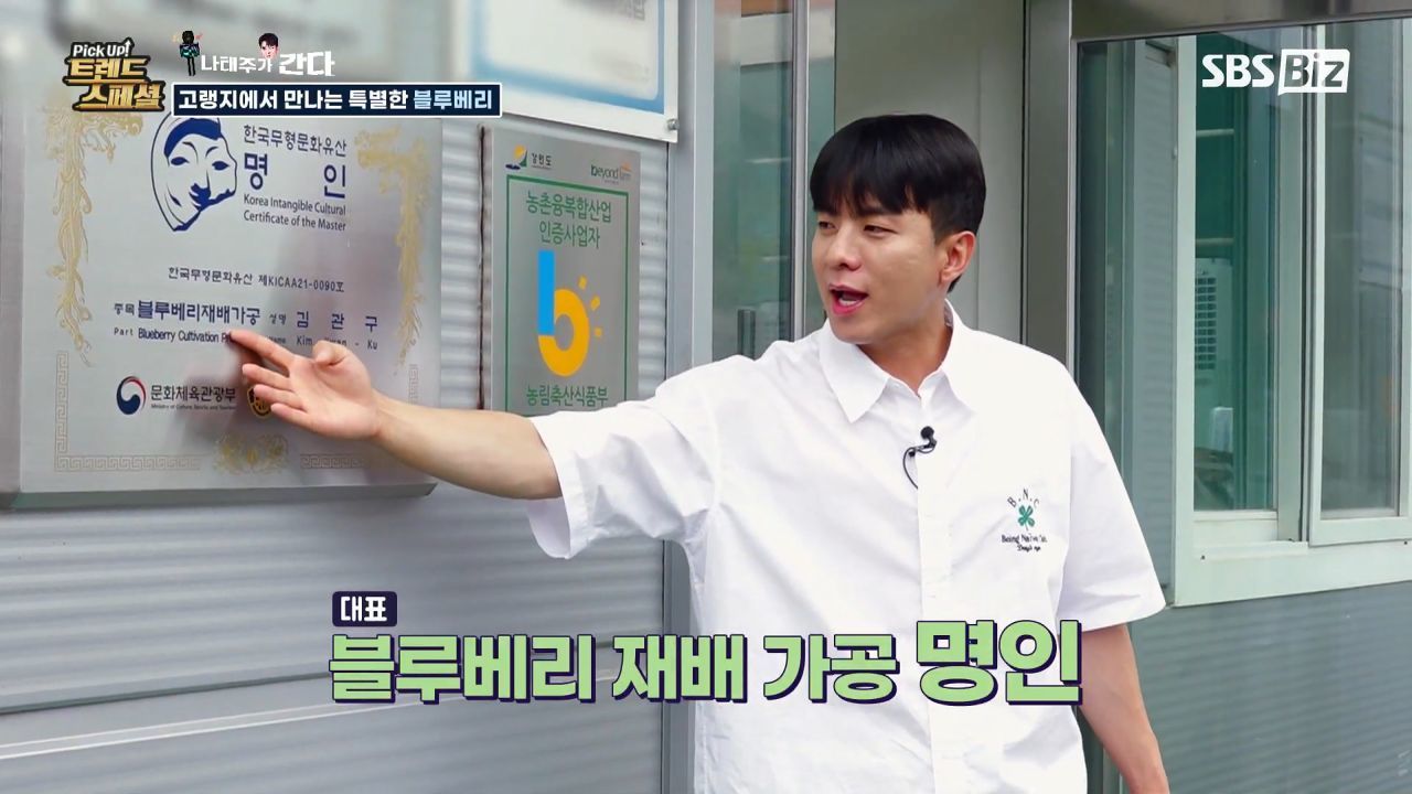 [Pick Up! 트렌드 스페셜] 고랭지에서 만나는 특별한 블루베리 썸네일