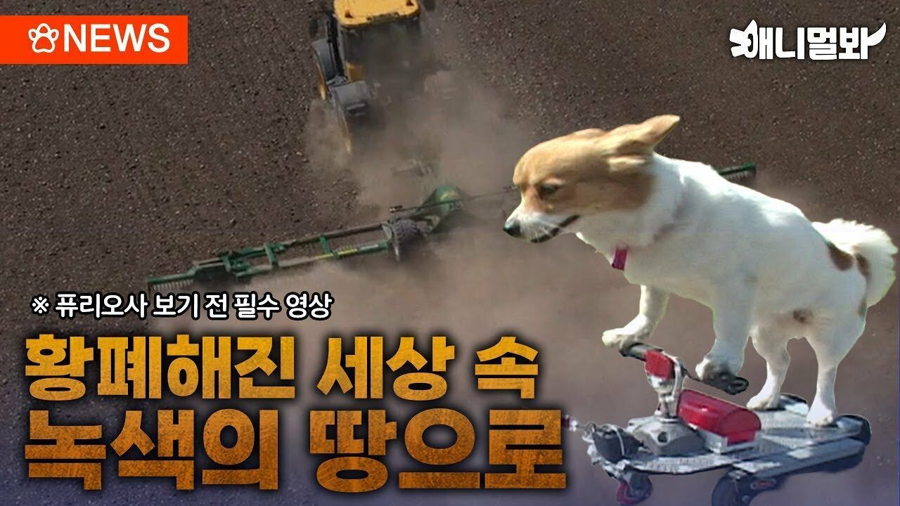 퓨리오사 보기 전 이 영화제부터 주목! 다들 팝콘 챙겨ㅣSBS뉴스멀봐(2024.05.31) 썸네일