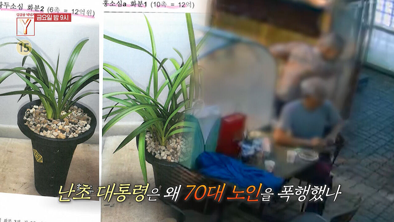 [10월 11일 예고] 배달원을 가장한 전 남자친구 그는 왜 여자친구를 죽였나 / 난초 대통령은 왜 70대 노인을 폭행했나 썸네일