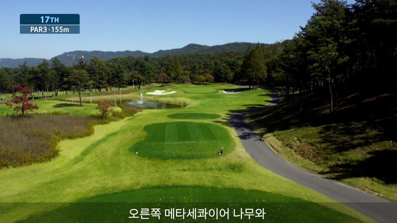 레이크우드 - 숲길 8번홀 PAR3 155m 썸네일