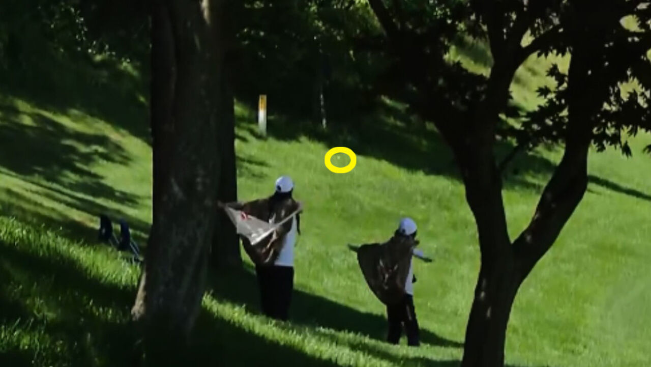 '아슬아슬하게 세이프!' 까다로운 위치에 있는 이정은6의 공 [하이원리조트 1R] 썸네일