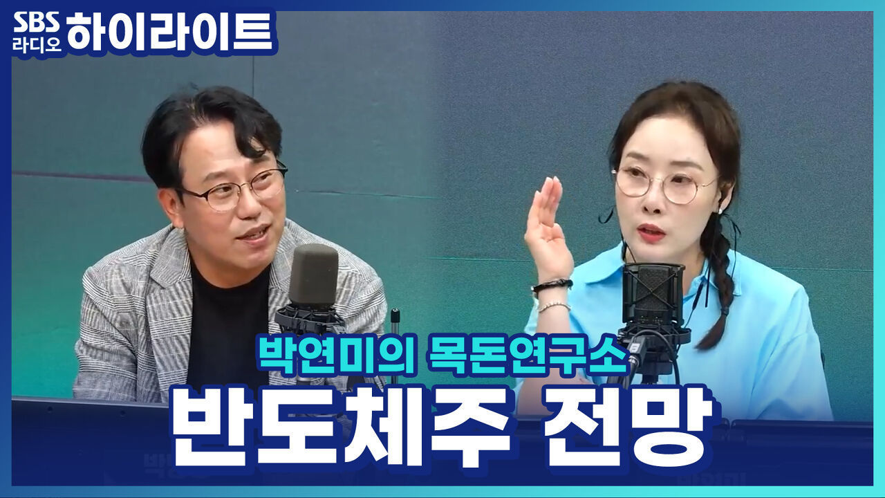 지금 팔면 후회? 삼성전자-SK하이닉스, 하반기 반도체주 전망은? 썸네일