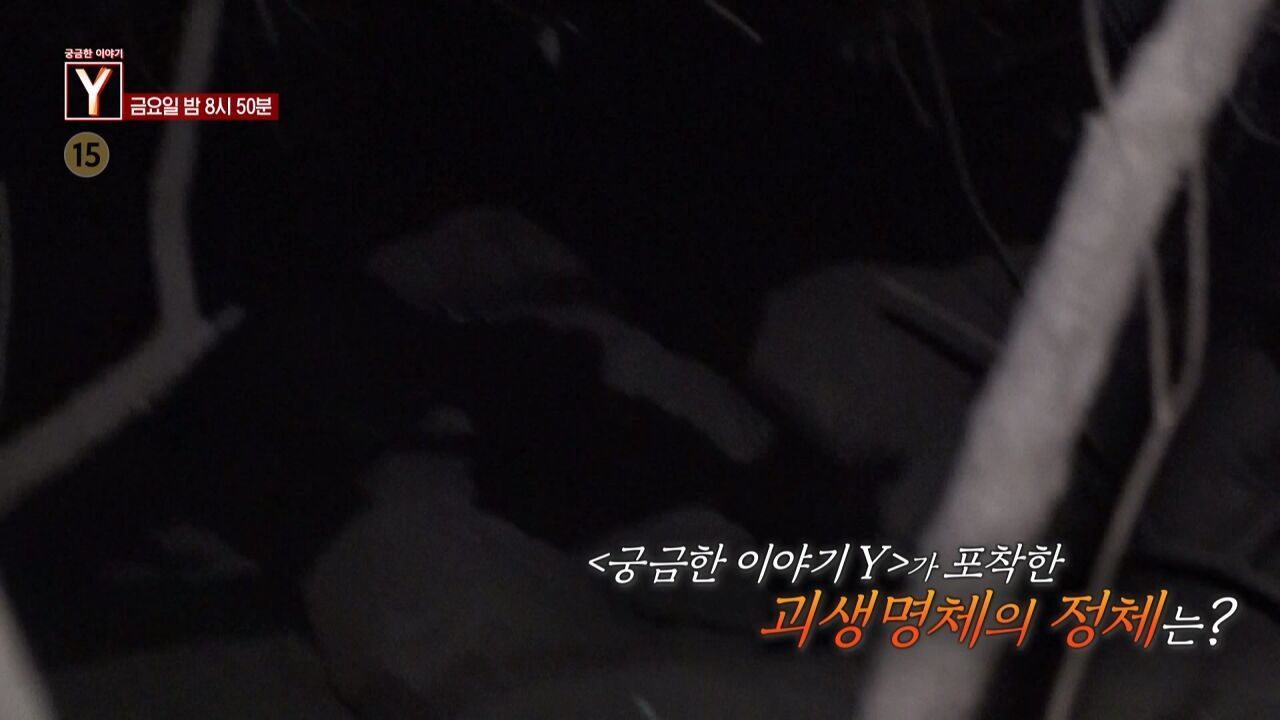 [8월 8일 예고] 가 포착한 괴생명체의 정체는? / 60대 고교생 오빠, 그는 왜 학교로 돌아왔나? 썸네일