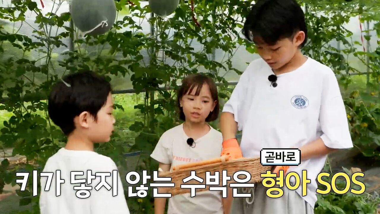 단체전 첫 승의 감격! 팀워크를 다지는 태권왕즈 썸네일