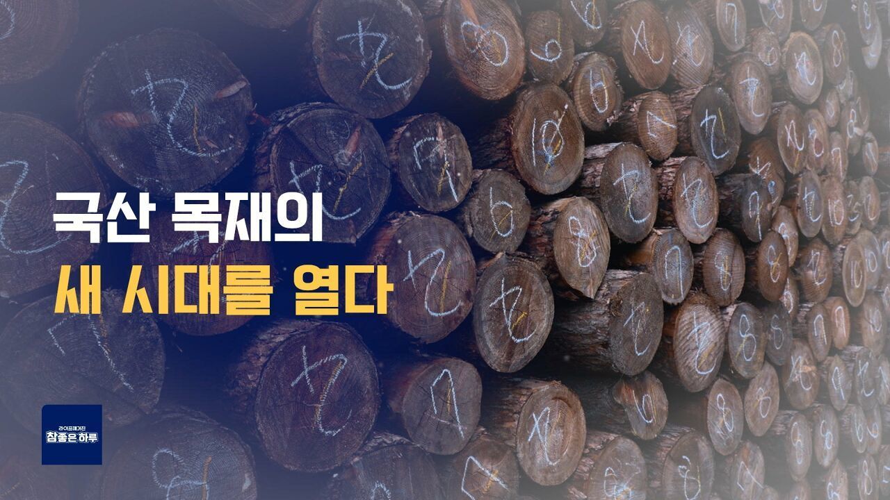 국산 목재 새 시대를 열다! 썸네일