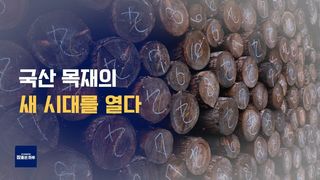 국산 목재 새 시대를 열다!