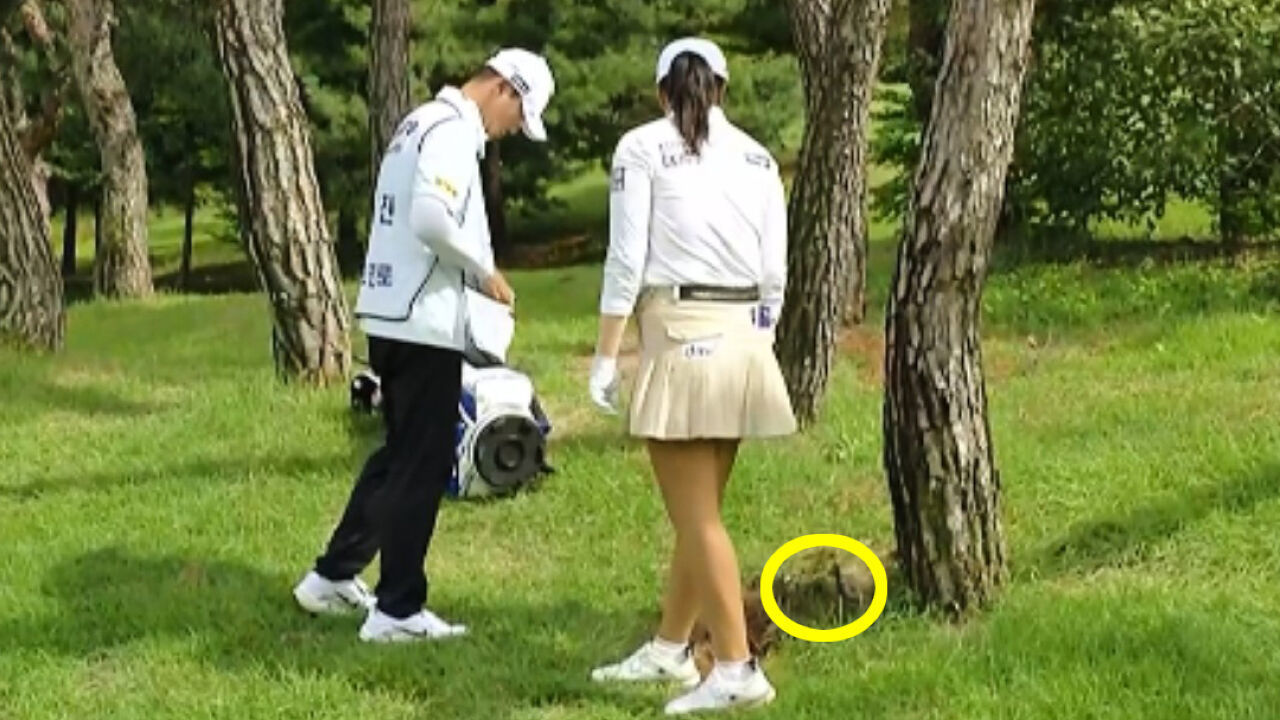 여기서 샷이 가능한가요? 티샷 미스로 나무 밑에 떨어진 성유진의 볼 [하이트진로 3R] 썸네일