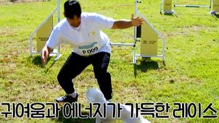 반려인과 반려인의 축제! 서로의 마음이 이어지는 시간 토요타 바른 DOG 페스티벌 2025 [예고]