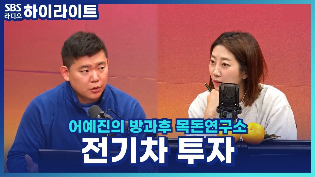 자동차 시장 침체, 전기차 투자로 인한 영향? [어예진의 방과후 목돈연구소] 썸네일
